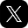 X Icon
